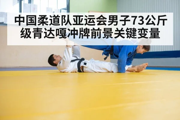 judo athletes grappling