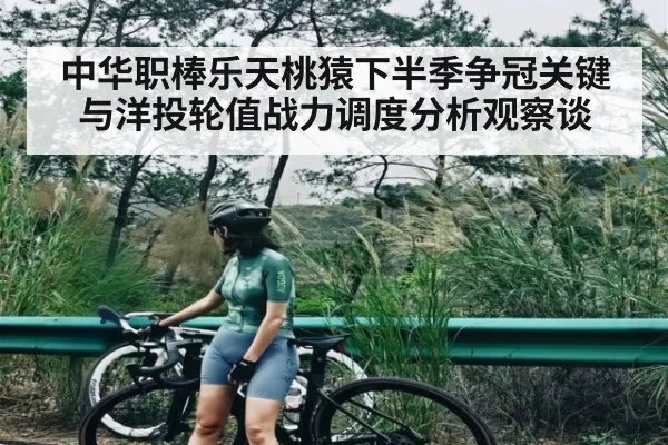 中华职棒乐天桃猿下半季争冠关键与洋投轮值战力调度分析观察谈